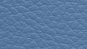 Blue Leatherette